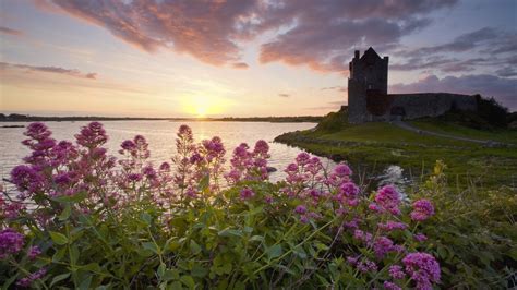 Littlewoods ireland provides hundreds of wallpaper options in one place to help make your homeware shopping easy. Sunset castles flowers Ireland lakes castle wallpaper | 1920x1080 | 251841 | WallpaperUP