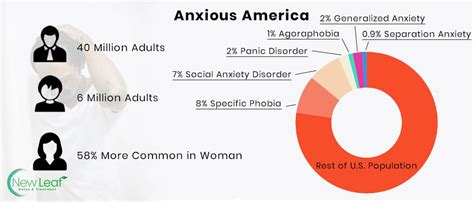 Anxiety And Addiction Co Morbidity And Dual Diagnosis New Leaf Detox