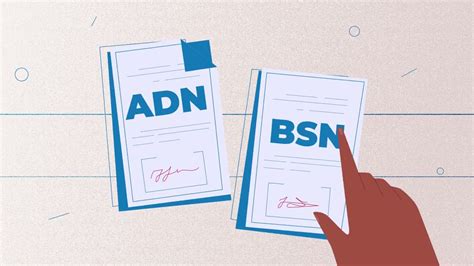 Adn Vs Bsn Which Pathway To Consider Whats The Difference Youtube