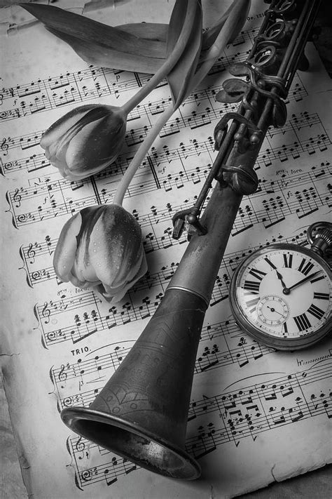 Clarinet In Black And White Photograph By Garry Gay Fine Art America