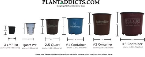Plant Container Size Chart