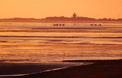 Weltnaturerbe Wattenmeer: Ein allgemeiner Überblick - 1 ...