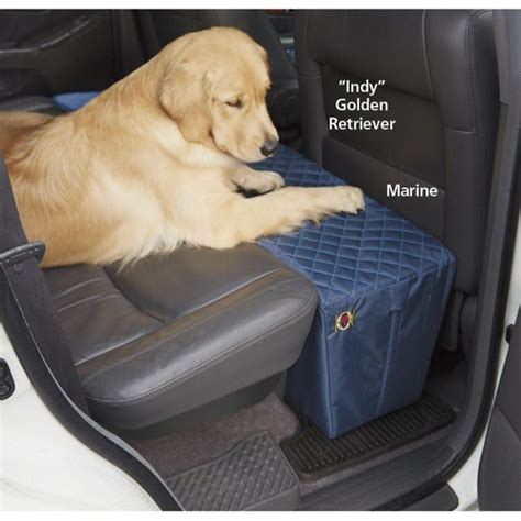 Best Backseat Extender For Dogs Truck Dash Cam