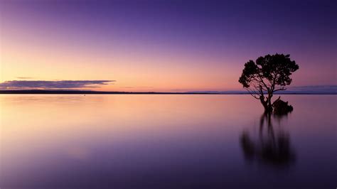 Download Wallpaper 3840x2160 Sunset Tree Lake Sky Water Evening