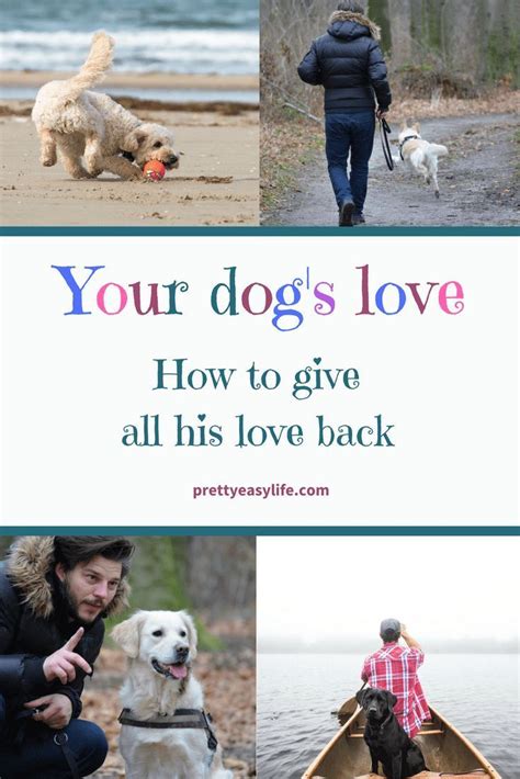 10 Ways To Show How Much You Love Your Dog Dog Love Dogs Best Dog