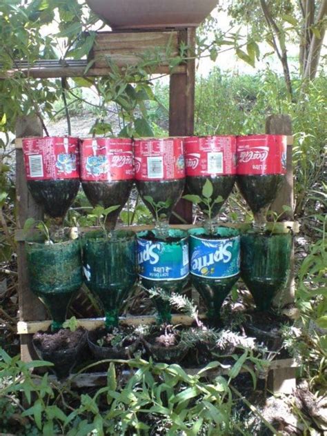 21 Plastic Soda Bottle Garden Ideas To Try This Year Sharonsable