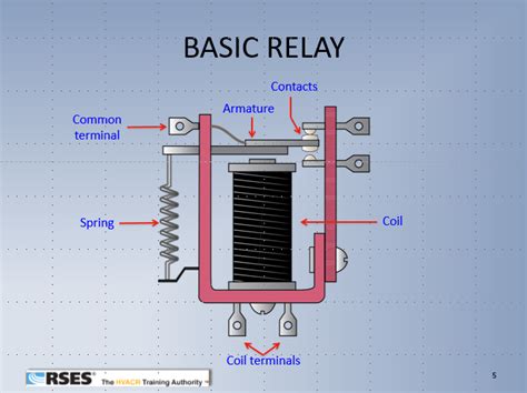 The Basic Relay Middle Tn Rses