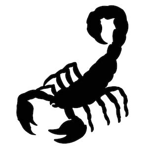 Scorpion Svg Scorpion Clipart Scorpion Png Scorpio SVG File Scorpion