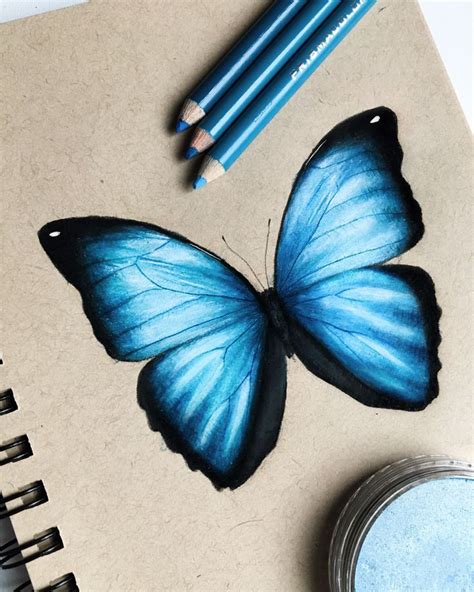 Butterfly Drawing Color Pencil Art Prismacolor Art Butterfly Drawing