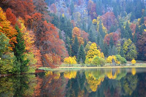 The Colours Of The Black Forest Uk