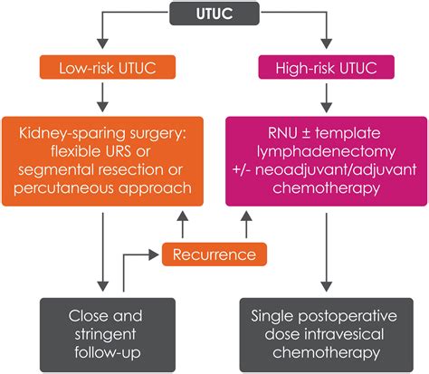 Practical Guidance On Risk Stratification In Utuc