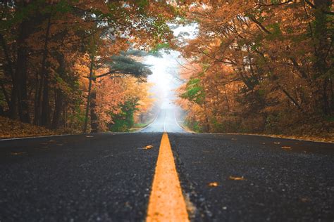 Alone Road Autumn 4k Hd Photography 4k Wallpapers Images