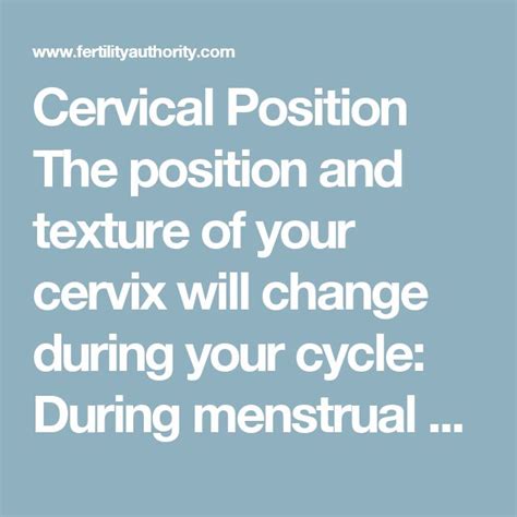 Cervical Position What Your Cervical Position Tells You About Your