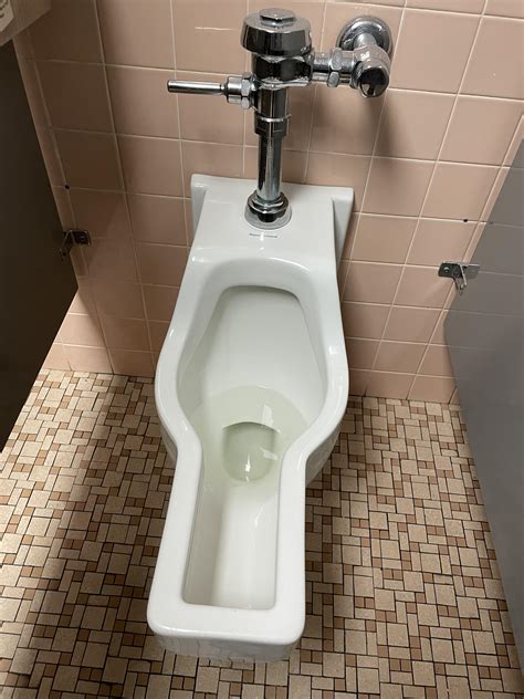 This Toilet In A Womens Restroom Rmildlyinfuriating