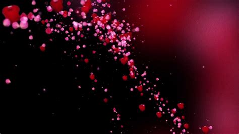 Baby pink aesthetic aesthetic gif aesthetic wallpapers anime gifs anime art gif background snow gif anime flower. Romantic flying red rose flower petals love heart wedding ...