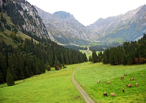 Stock Pictures Nature Scenes From Switzerland