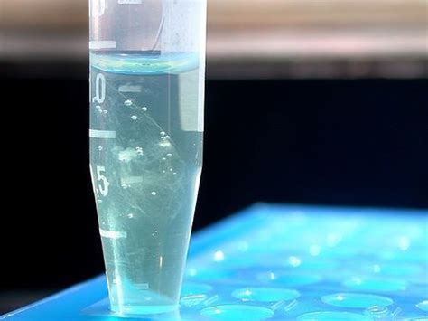 Dna Extraction — Science Learning Hub