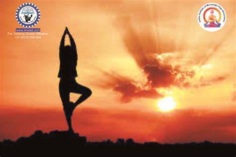 Indian Institute Of Microedge Yoga Association Lucknow Uttar Pradesh