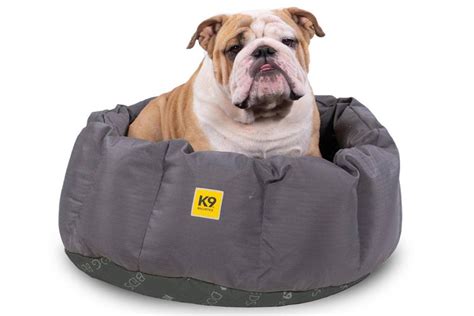 The 10 Best Calming Dog Beds Of 2023 By People