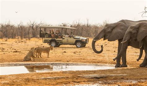 Experience It Savuti Botswana Wild And Unpredictable Mackair