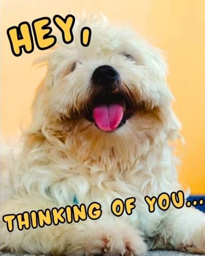 Cute Thinking Of You Ecard Free Thinking Of You Ecards Greeting Cards