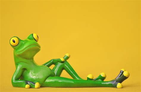 Free Images Sweet Cute Green Rest Frog Amphibian Yellow Toy Relaxation Figure