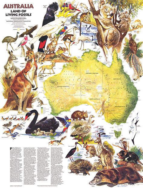 Top quality australian made personalised jigsaw with a personalised jigsaw puzzle, you can have your most treasured and favourite photos made into a super special gift and select your number of pieces. Australia Animals Jigsaw Puzzle | PuzzleWarehouse.com