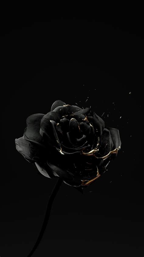 Roses Are Dead - Vol. 4 “Black and Gold” in 2020 | Black aesthetic