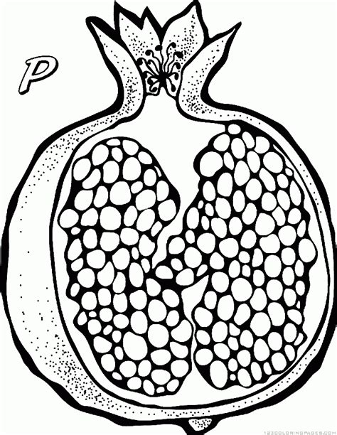 P For Pomegranate Coloring Pages Pomegranate Art Pomegranate Print