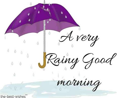 Perfect Good Morning Wishes For A Rainy Day Best Images Good