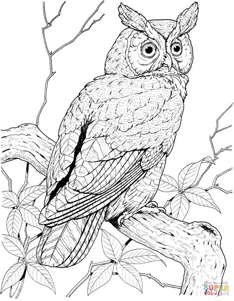 Coloriage Hibou Moyen Duc Perché Coloriages à Imprimer Gratuits