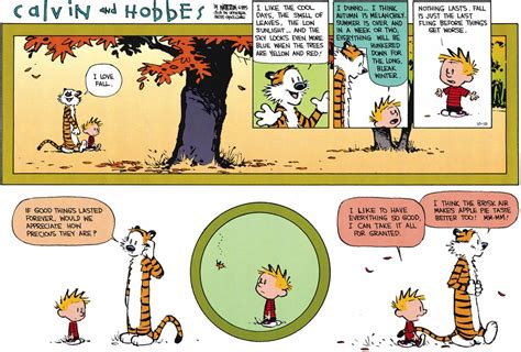 Best Calvin And Hobbes Comics