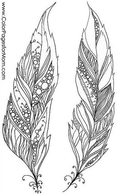 Coloring Pages For Adults Feathers Adult Coloring Pages Feather