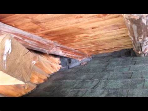 Painted outside same as the outside wall (exterior acrylic paint). Bat Removal in Valparaiso Indiana - YouTube