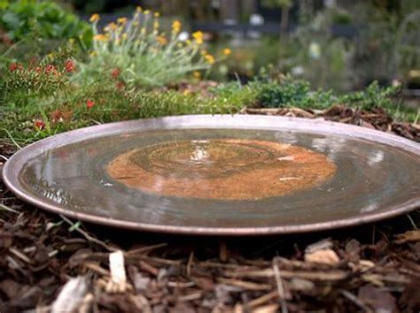 Maybe you would like to learn more about one of these? Spun Copper Dish - Medium | Gardening With Angus