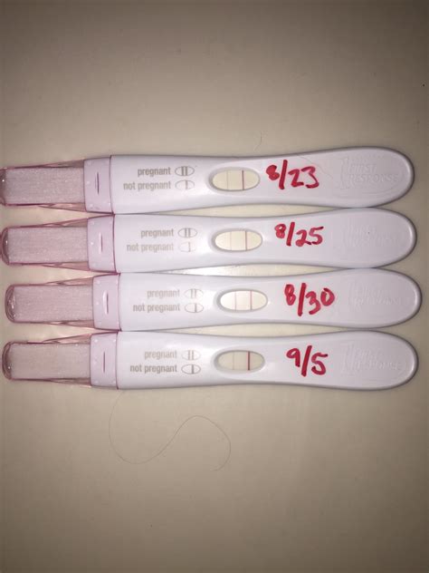 The Best 29 Pregnancy Test Progression Miscarriage Img Abdalah