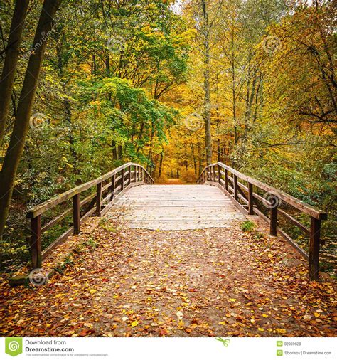 Bridge In Autumn Forest Stock Photo Image Of Forest 32969628