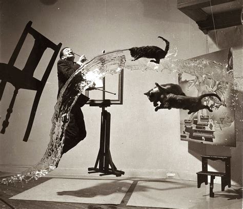 Old Picture Of The Day Flying Cats