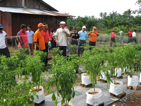 Sehubungan dengan itu diingatkan tuan/puan diarapkan dapat membawa bersama set komputer, extension wire, data guru dan murid sekolah tuan/puan. Antara Cinta Dan Cita-Cita: Lawatan Ke Mukim Ayer Hitam
