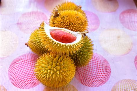 Get the dates and details on the 2019 malaysia durian season so you can plan the perfect durian trip. Malaysia 2019 Durian Season Guide - Year of the Durian