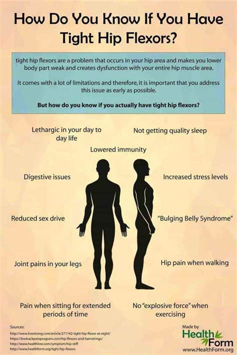 Low back extensor muscles, such as the erector spinae, must eccentrically contract to slow your body's their tightness will then tend to create an excessively anteriorly tilted pelvis because hip flexor another common cause of tight muscles of the low back is when muscles are overstretched. Tight Hip Flexors | Flexibility Exercises & Stretches to ...