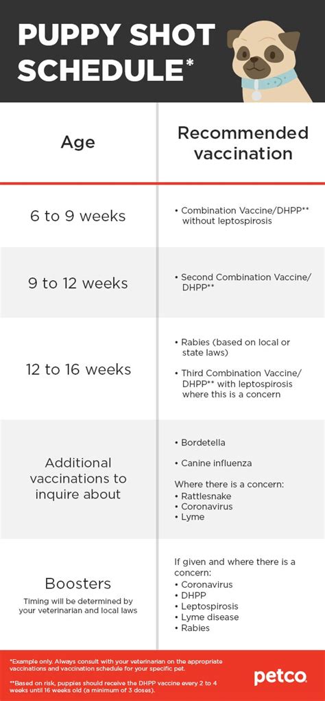 Printable Vaccine Schedule For Dogs
