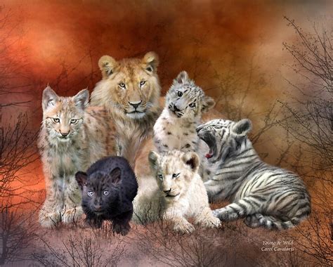 Young And Wild By Carol Cavalaris Redbubble