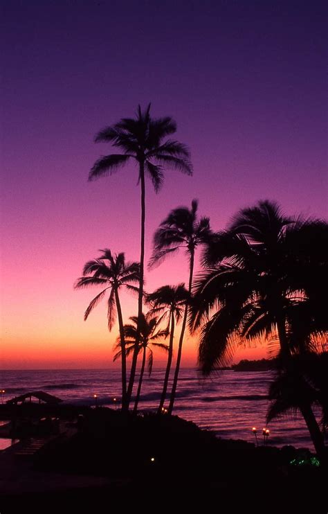 1920x1080px 1080p Free Download Tahiti Sunset Beach Palms Pink