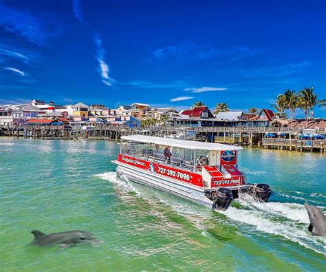 Dolphin Quest Madeira Beach 2022 Alles Wat U Moet Weten Voordat Je