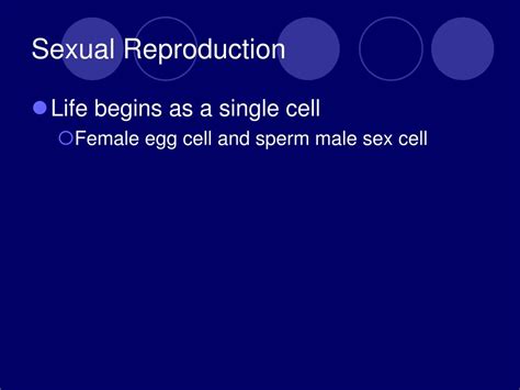 Ppt Male And Female Reproductive System Powerpoint Presentation Free