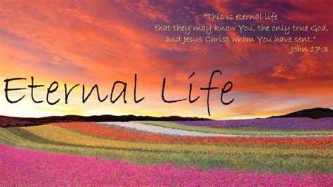 Eternal Life A Christian Perspective Thoughts Of God