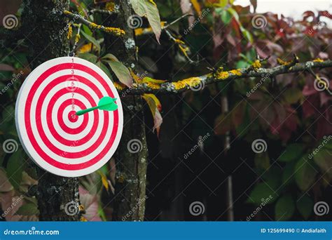 Darts On Tree In Autumn Oncept Of Success Stock Photo Image Of