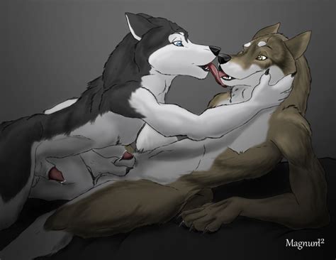 Rule 34 Anthro Balls Canine Fur Furry Gay Husky Licking