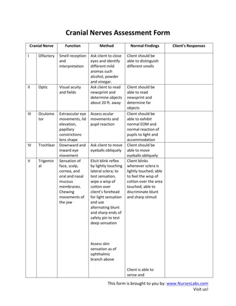 Cranial Nerves Assessment Nursing